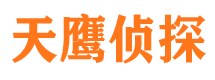 文山侦探公司